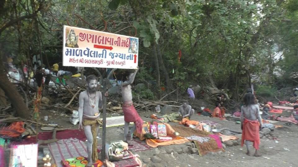 Girnar Lili Parikrama Junagadh Gujarat - Lili Parikrama Junagadh