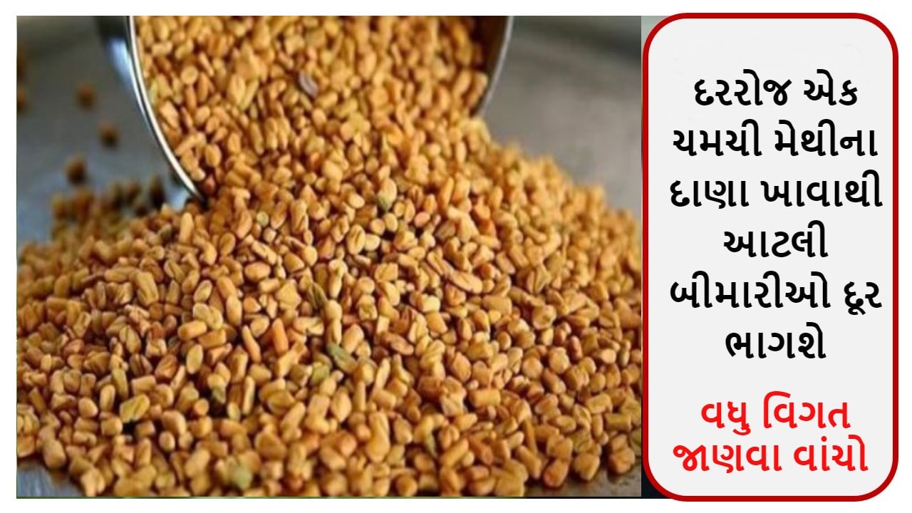 દરરોજ એક ચમચી મેથીના દાણા ખાવાથી આટલી બીમારીઓ દૂર ભાગશે