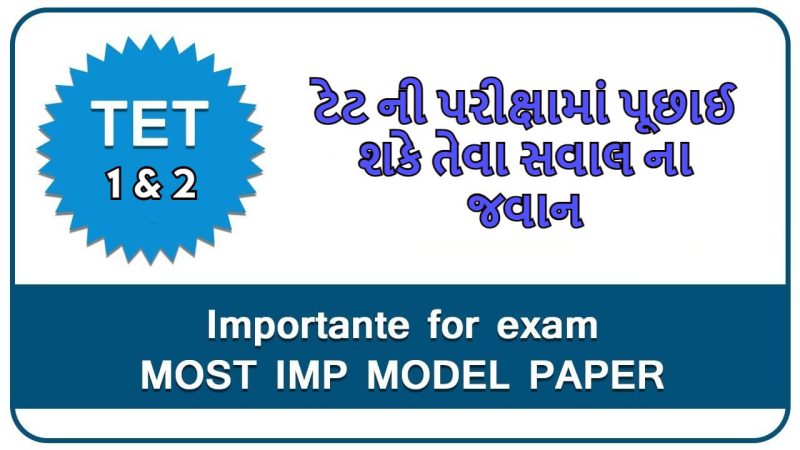 Which questions are asked in TET exam?